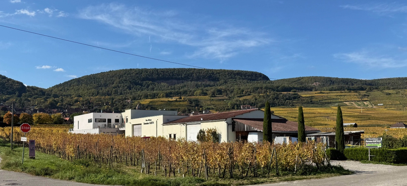 Domaine Gueth - Vins d'Alsace et oenotourisme