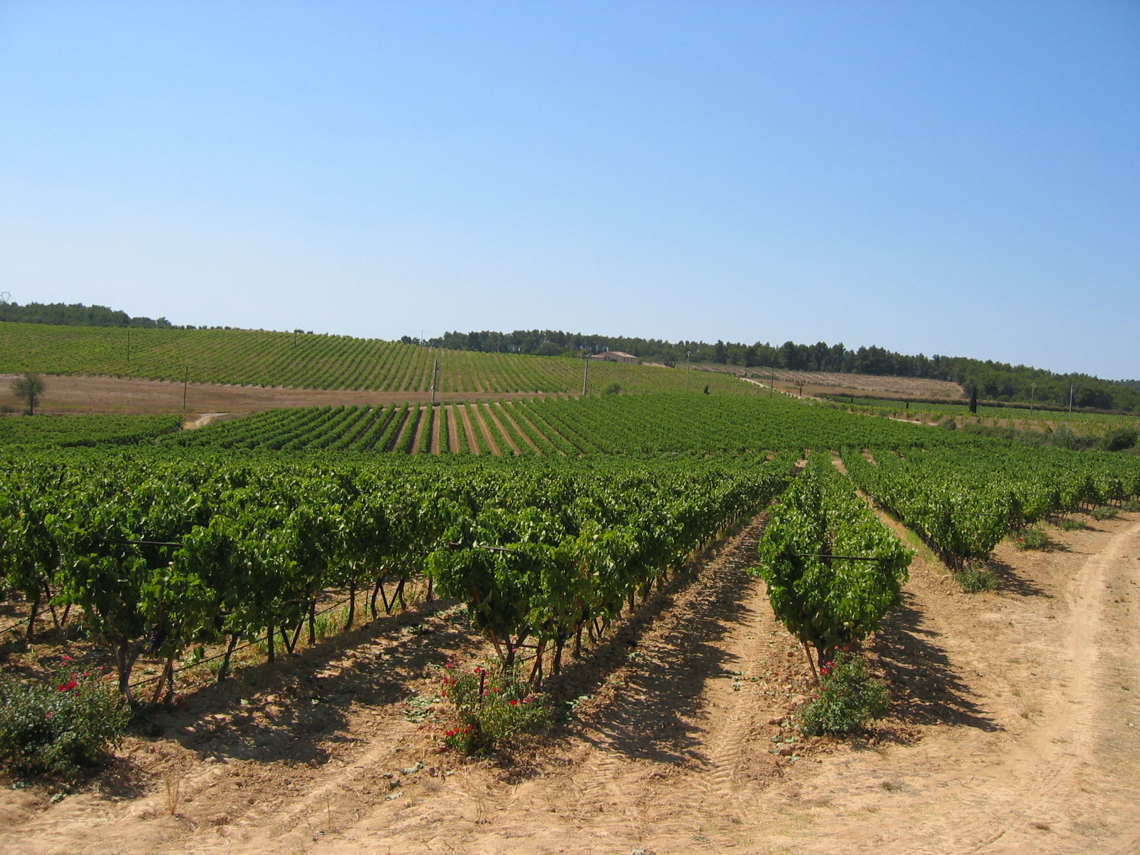 GreenGo Domaine du Coffre