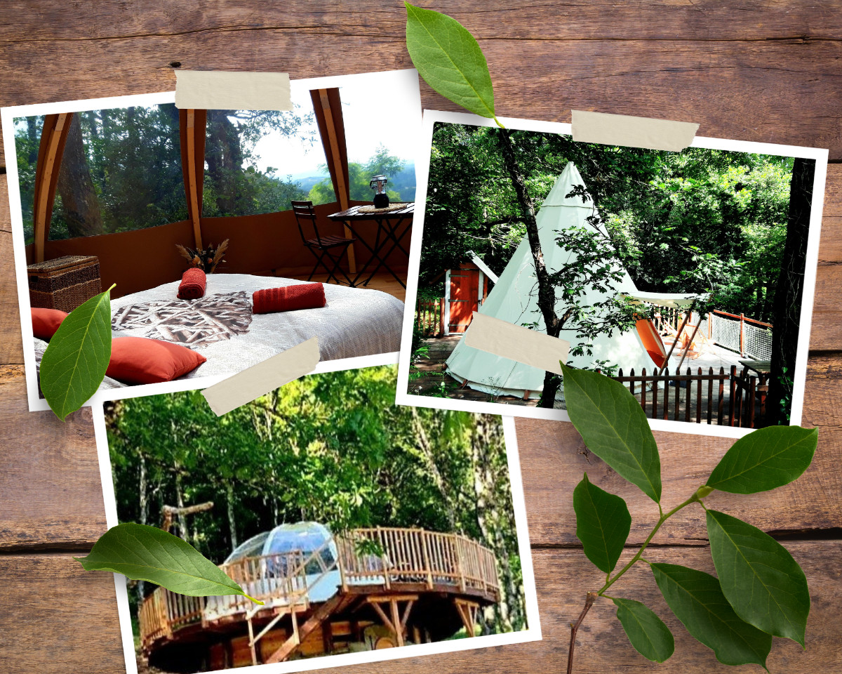 Hôte GreenGo: Le domaine insolite à Marie