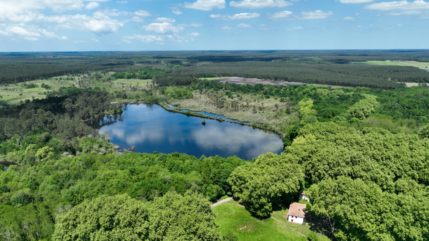 GreenGo Le Hameau Secret – 3 chalets au cœur de la forêt landaise avec piscine | Saint-Paul-lès-Dax