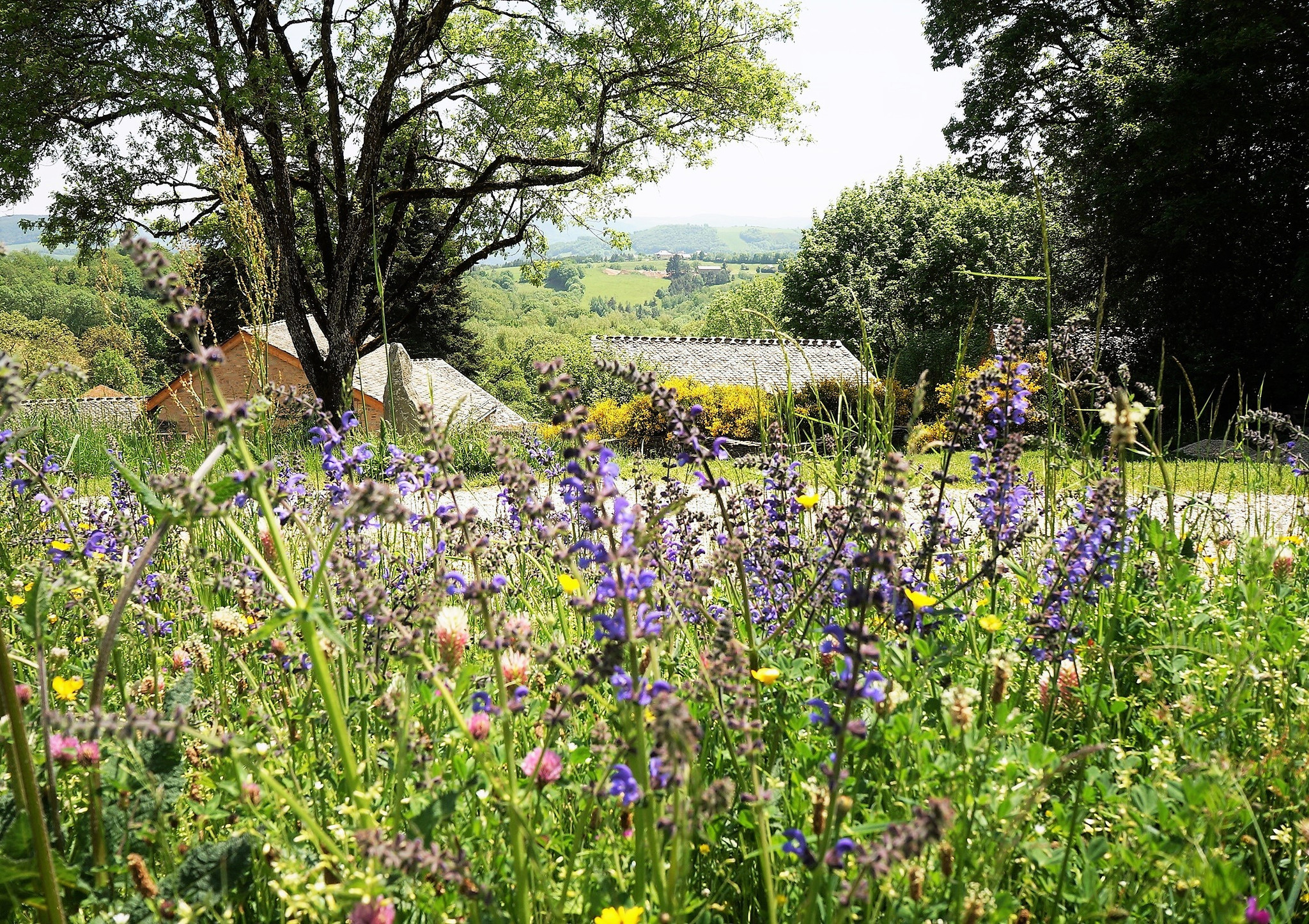 Hôte GreenGo: Le Domaine des Marequiers