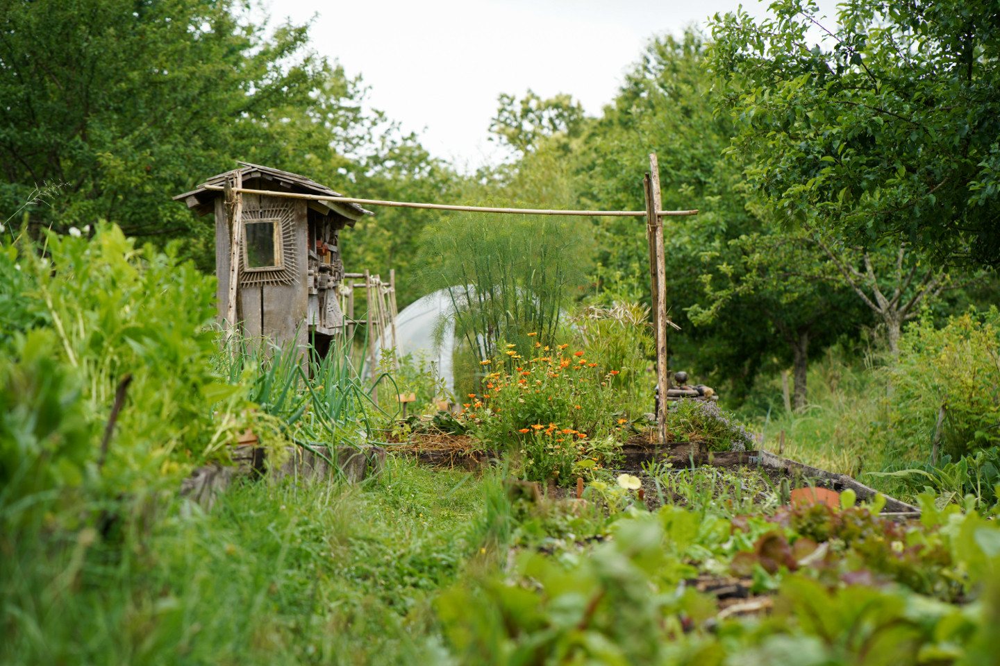 Hôte GreenGo: La Ferme de la Goursaline
