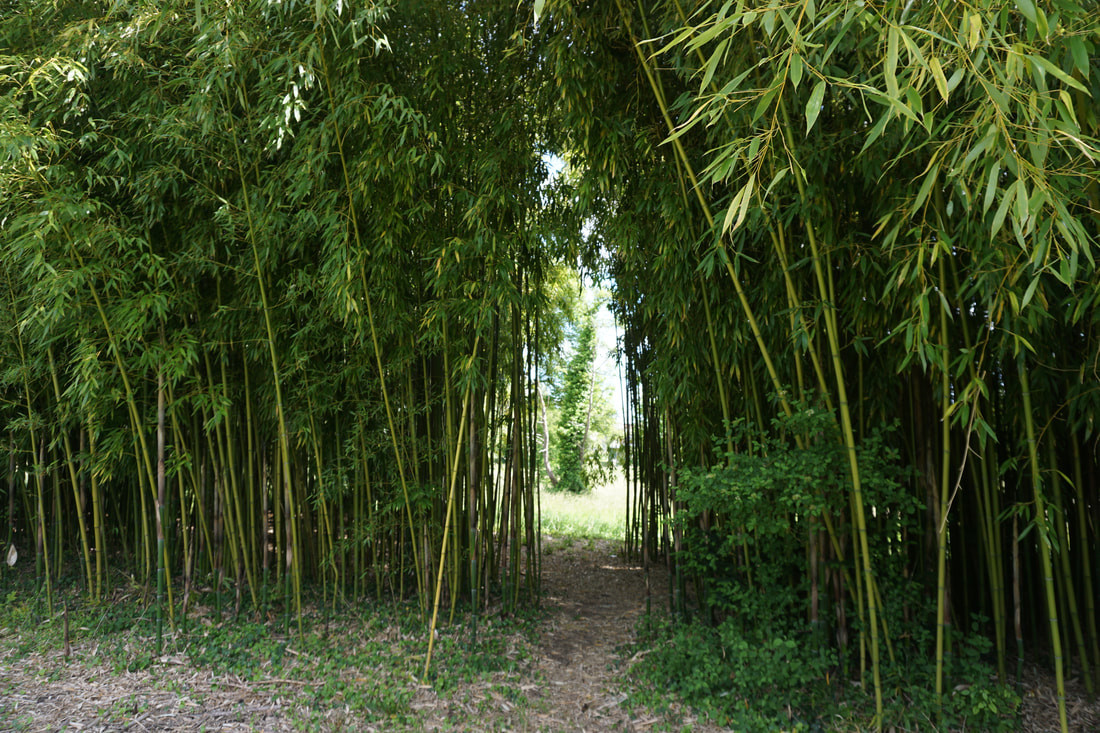 GreenGo Gîte Centre-Val de Loire À la campagne
