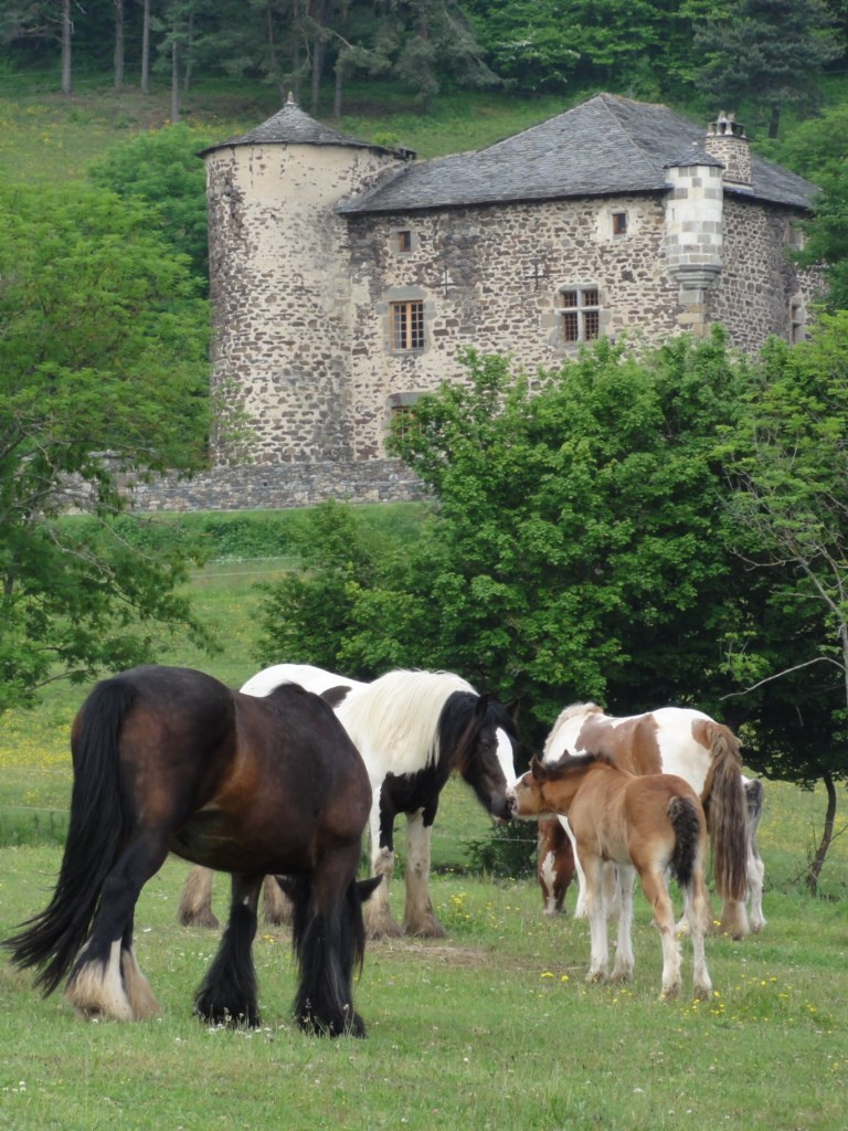 GreenGo Chambre d’hôtes Auvergne-Rhône-Alpes Évasion