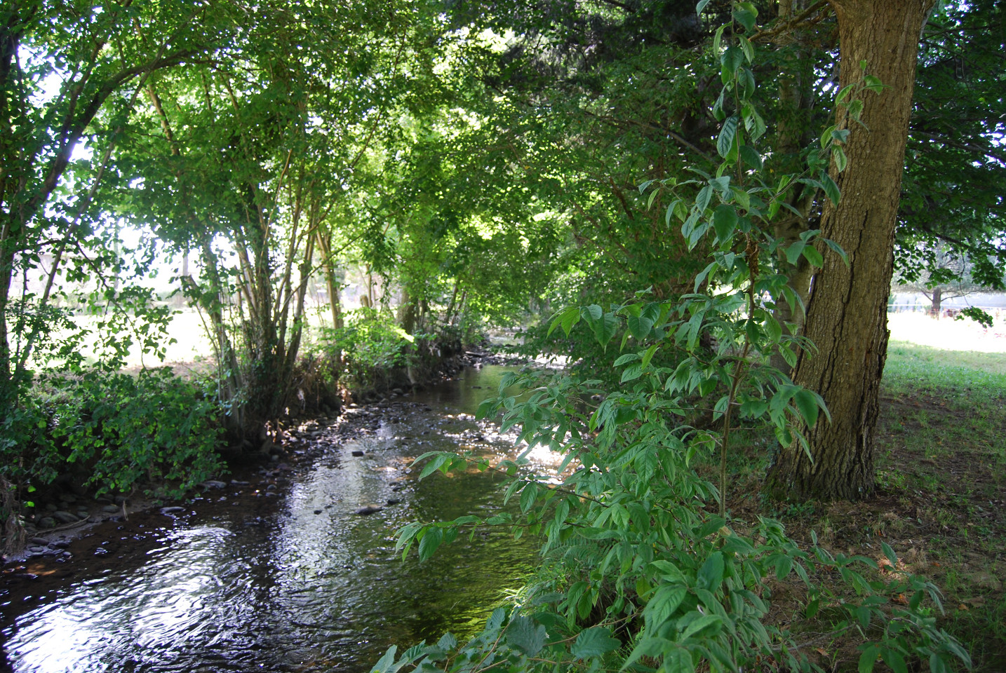 GreenGo location vacances écoresponsables