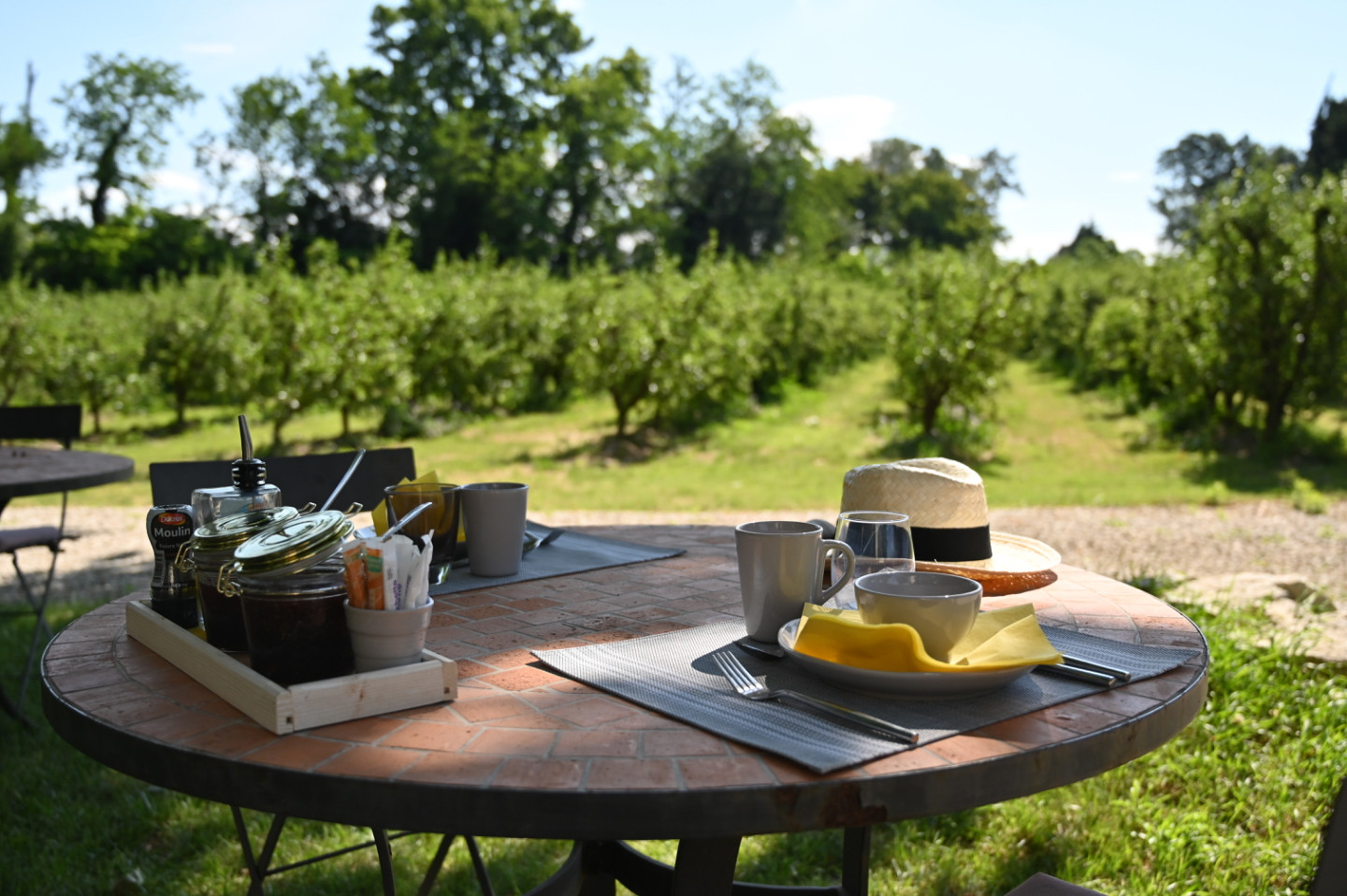 GreenGo location vacances écoresponsables