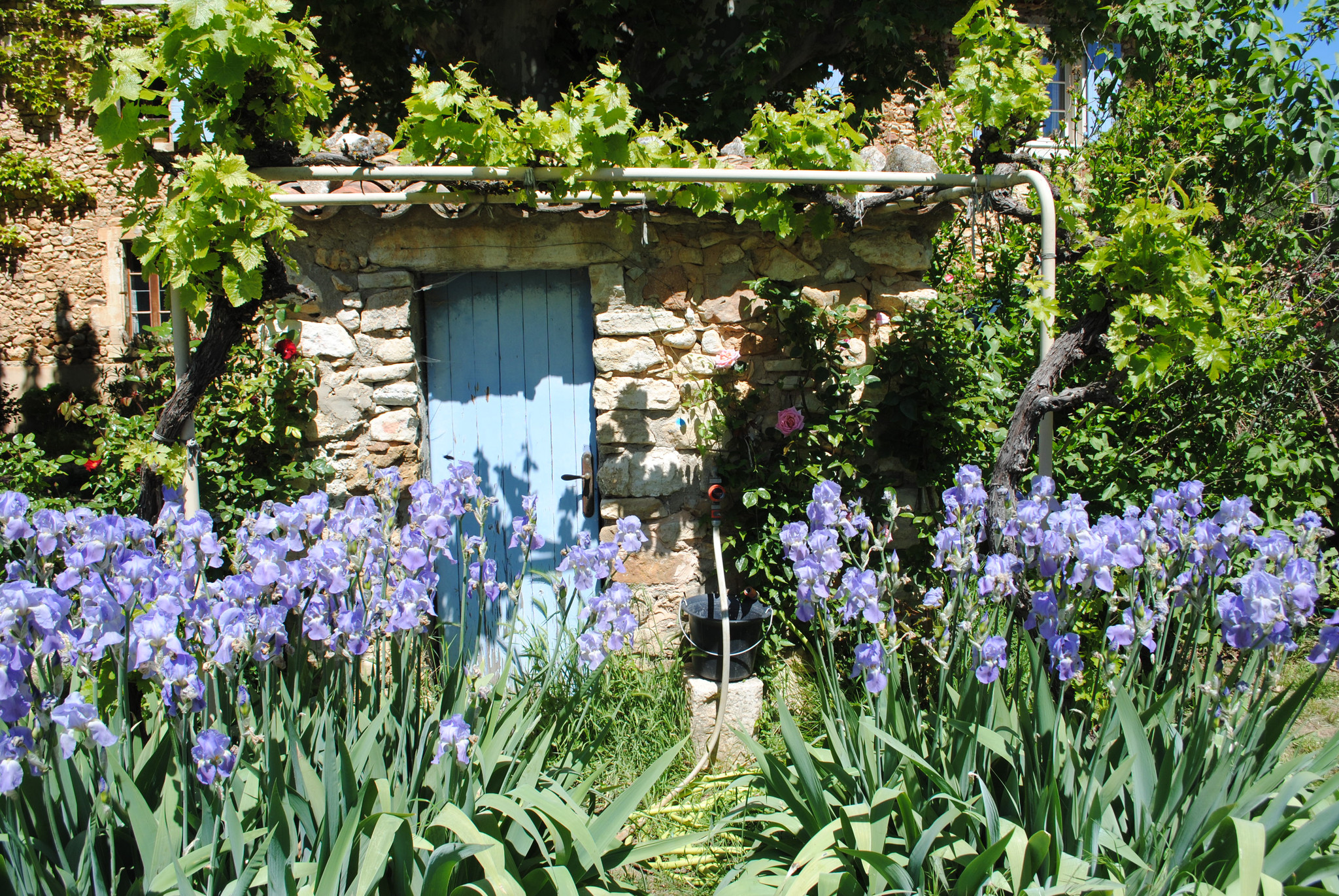  Vaucluse À la campagne