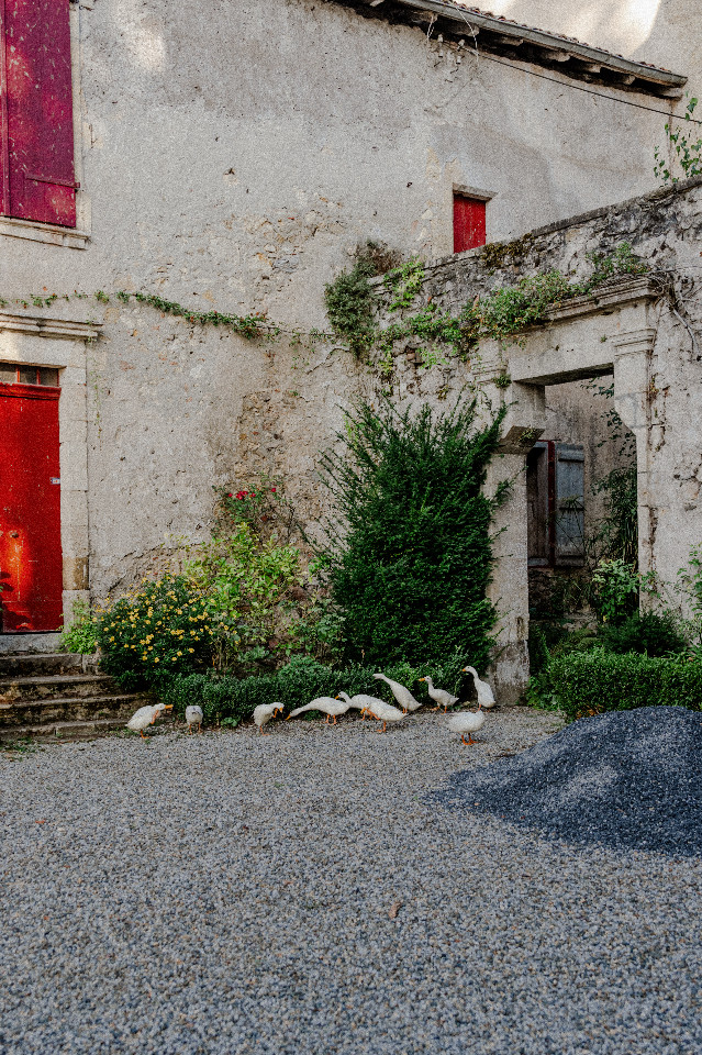 GreenGo Gîte Nouvelle-Aquitaine Évasion