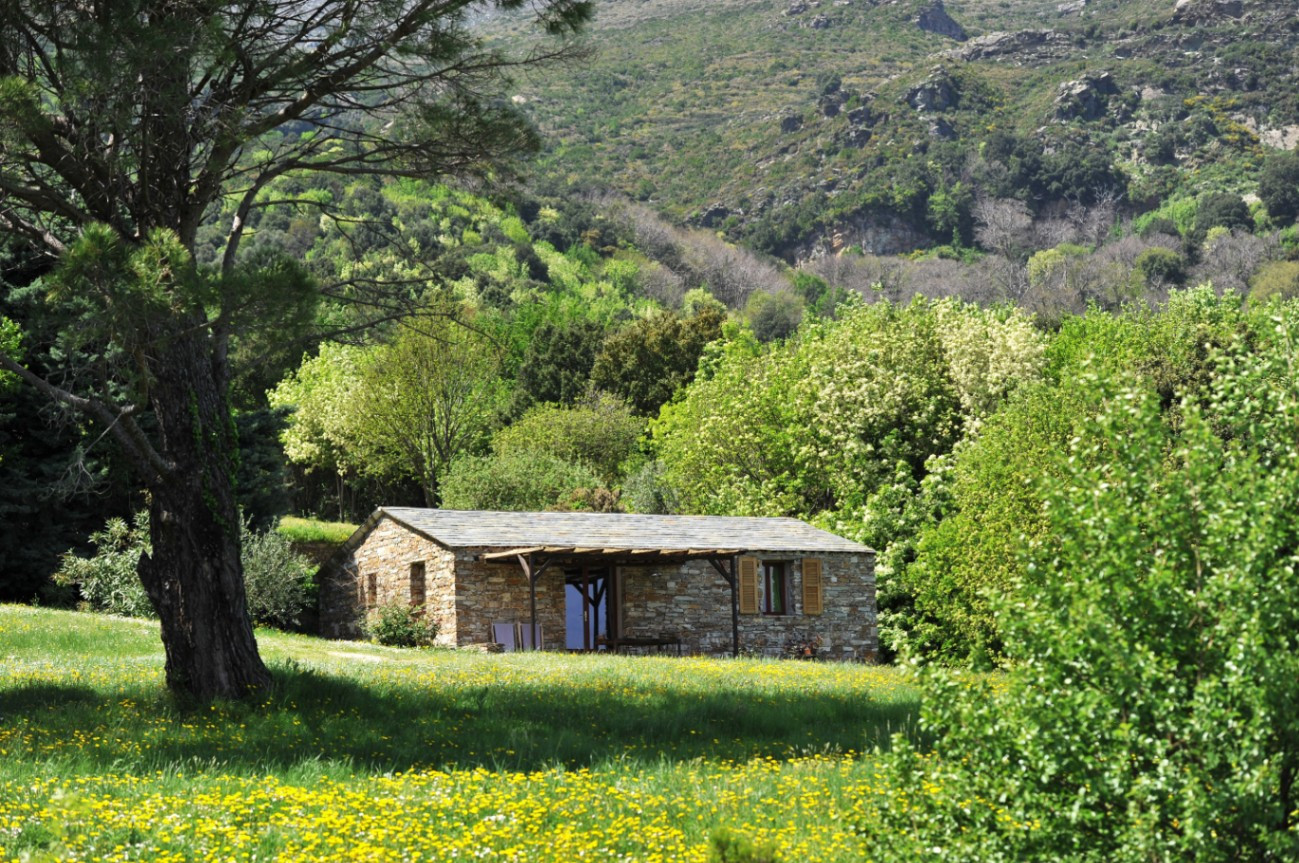 GreenGo Gîte Corse Évasion