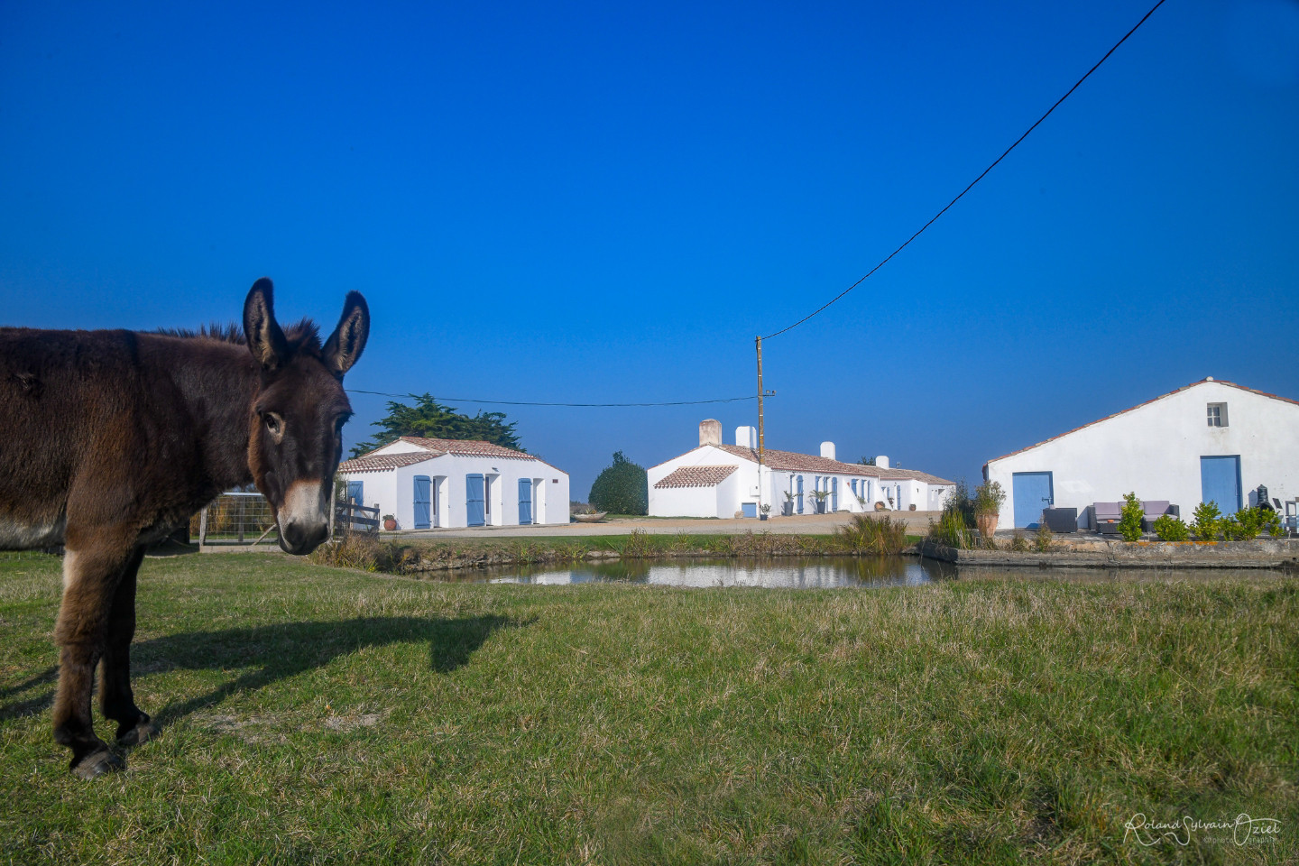 GreenGo Gites de la Grande Borderie