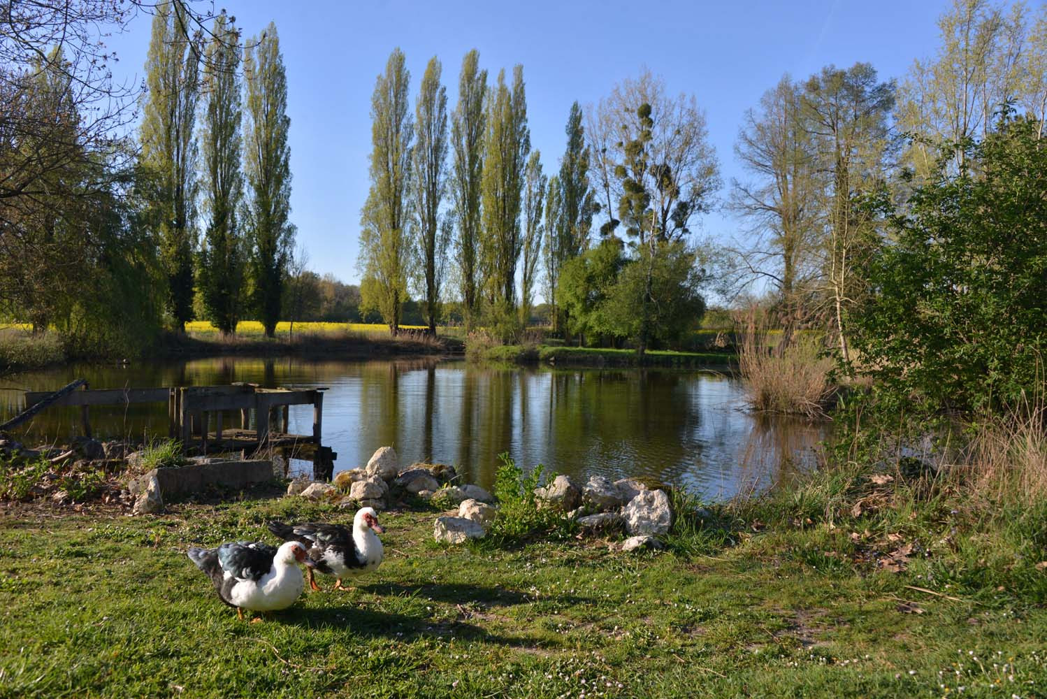 Hôte GreenGo: Lodge et studio chez Nature&cie