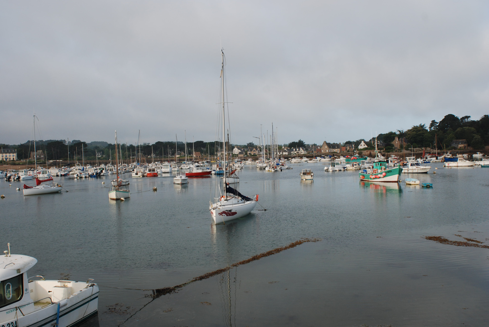 Locations bord de mer Ploumanac'h