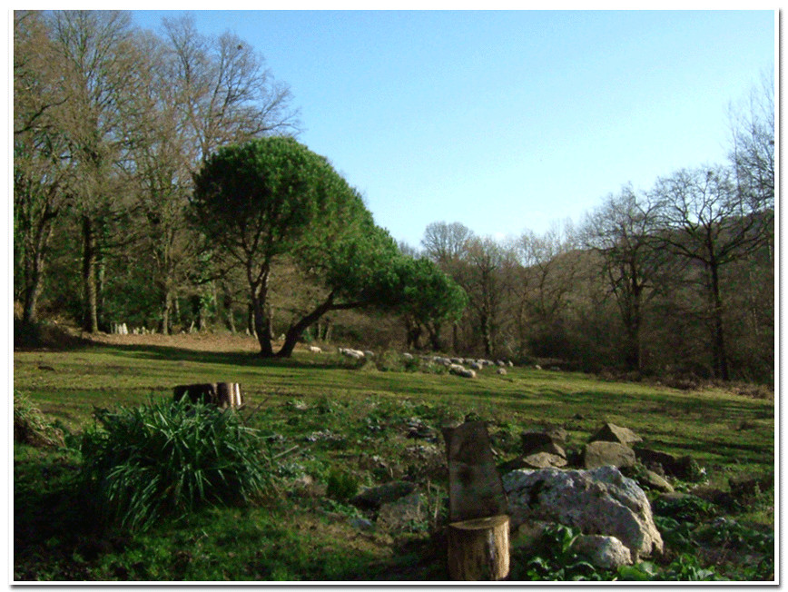 GreenGo Au cœur de la nature