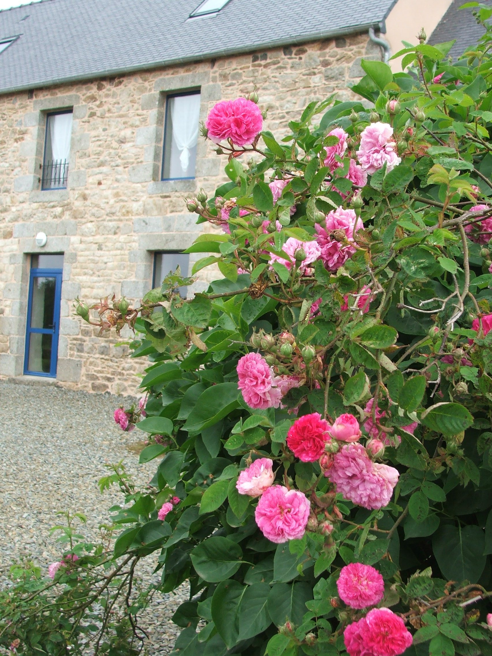 GreenGo Gîte Bretagne Évasion