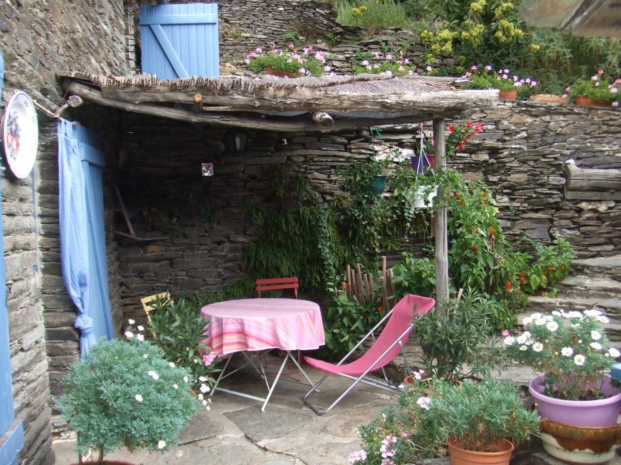 Lozère En forêt