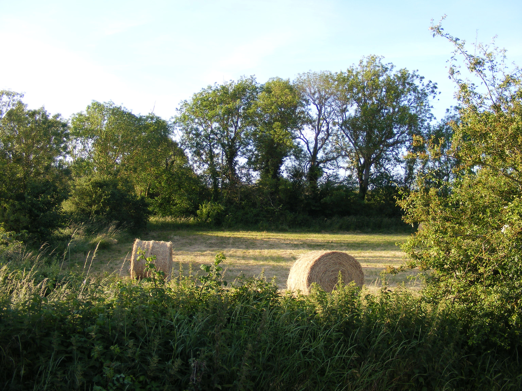 GreenGo Gîte Pays de la Loire Évasion