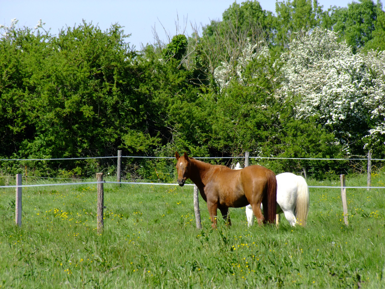 GreenGo Les gîtes de Bourg paillé