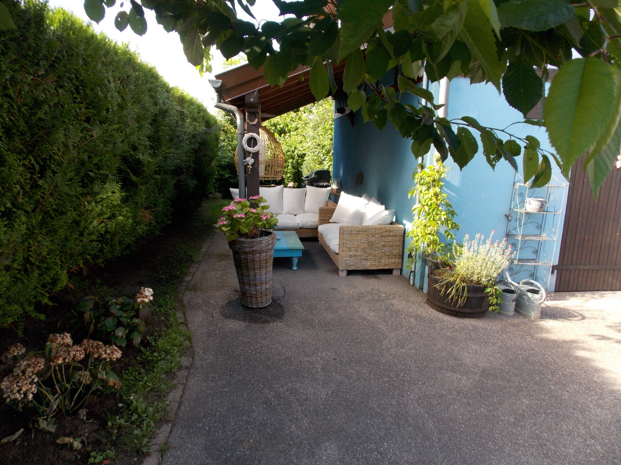 GreenGo La suite bleue