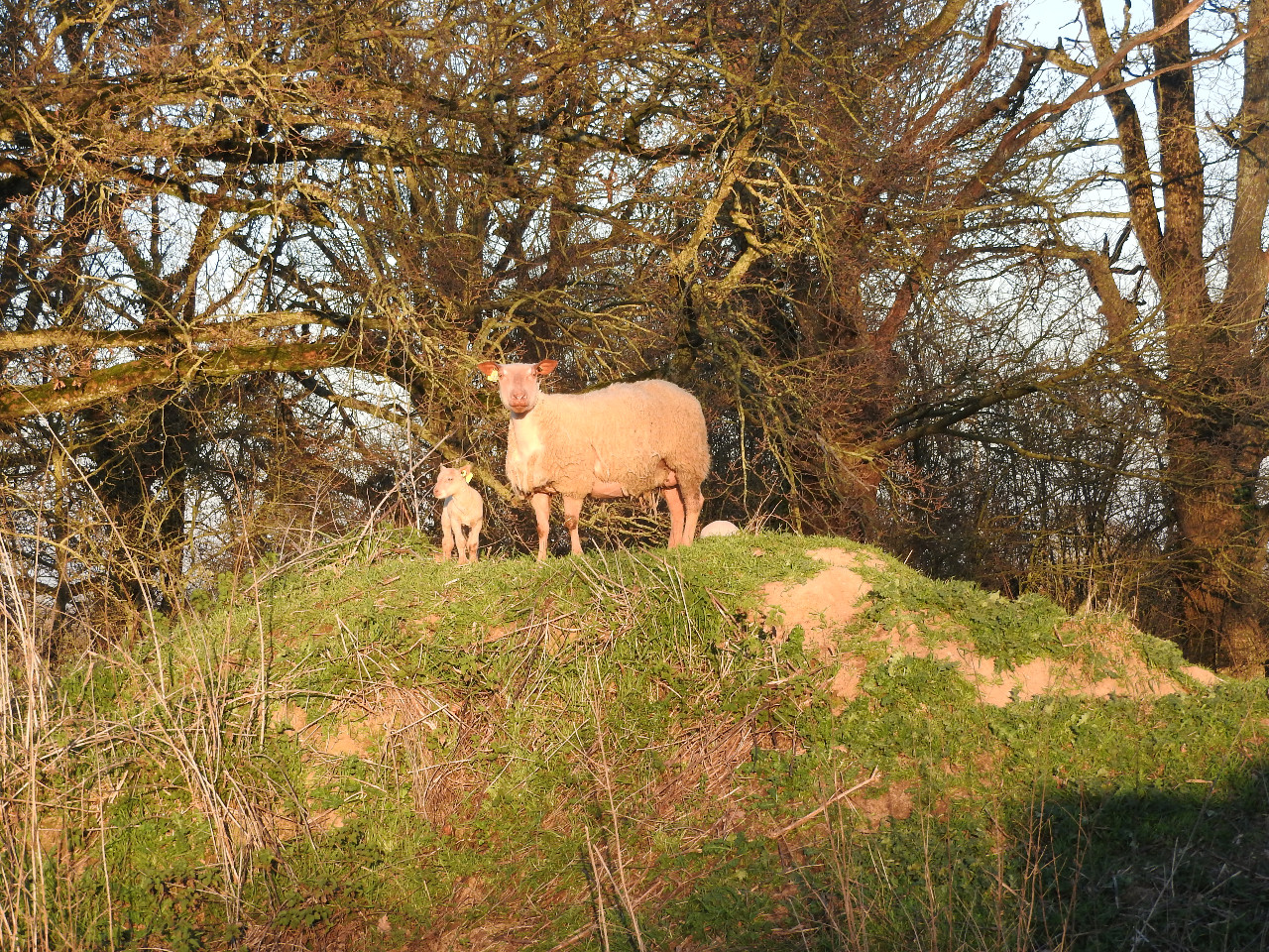 Deux-Sèvres Haut-de-gamme