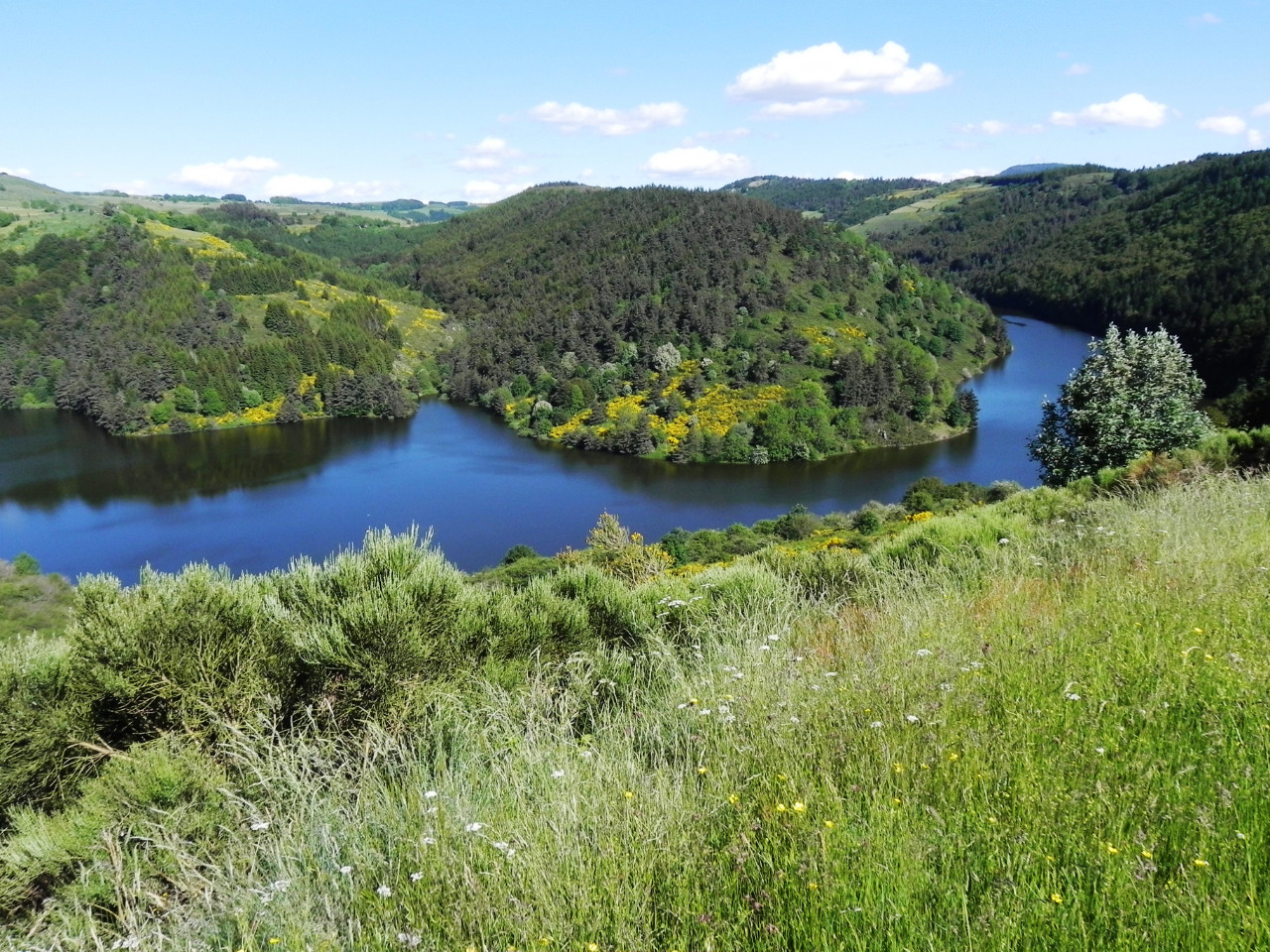 GreenGo Gîte Auvergne-Rhône-Alpes Évasion