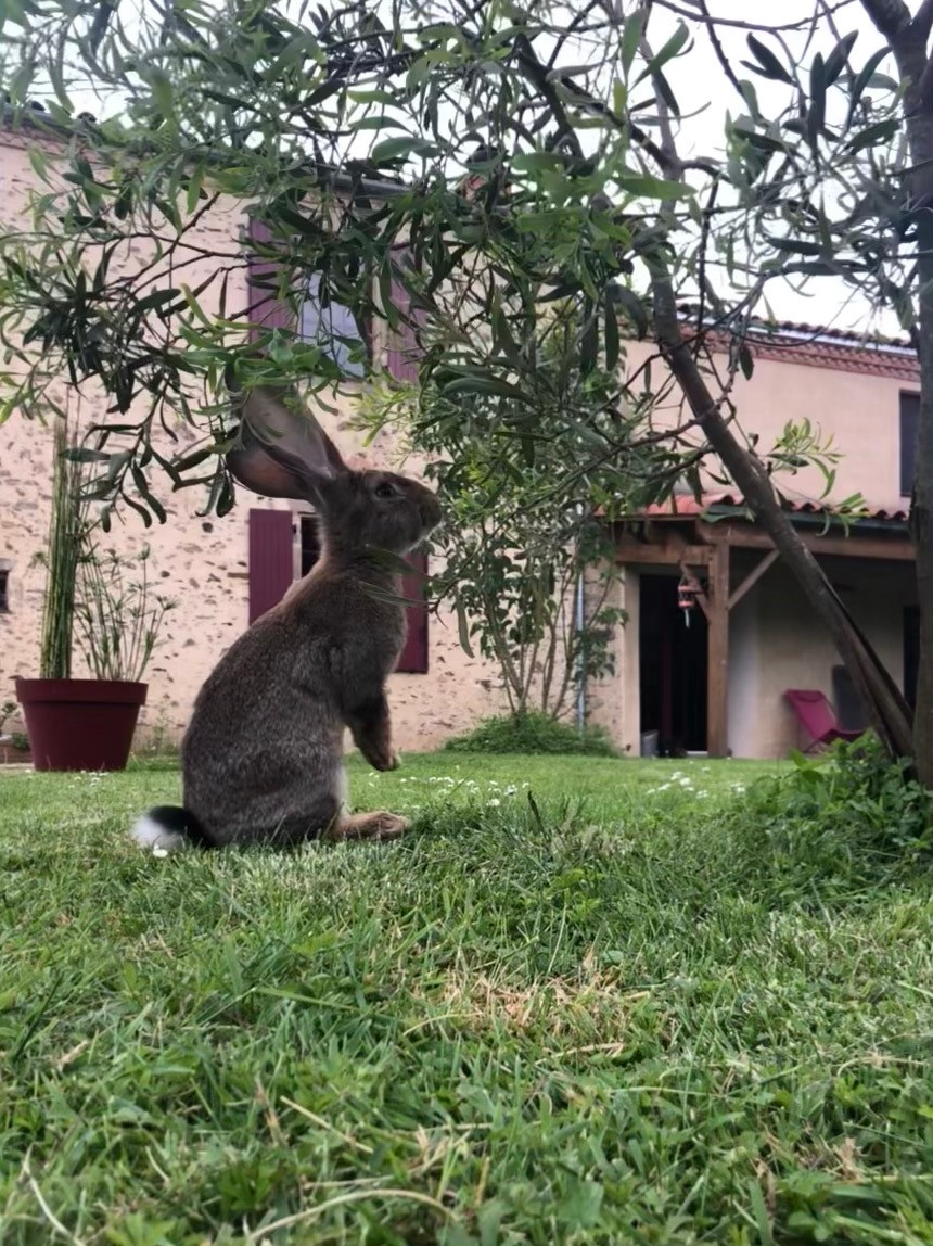 GreenGo location vacances écoresponsables
