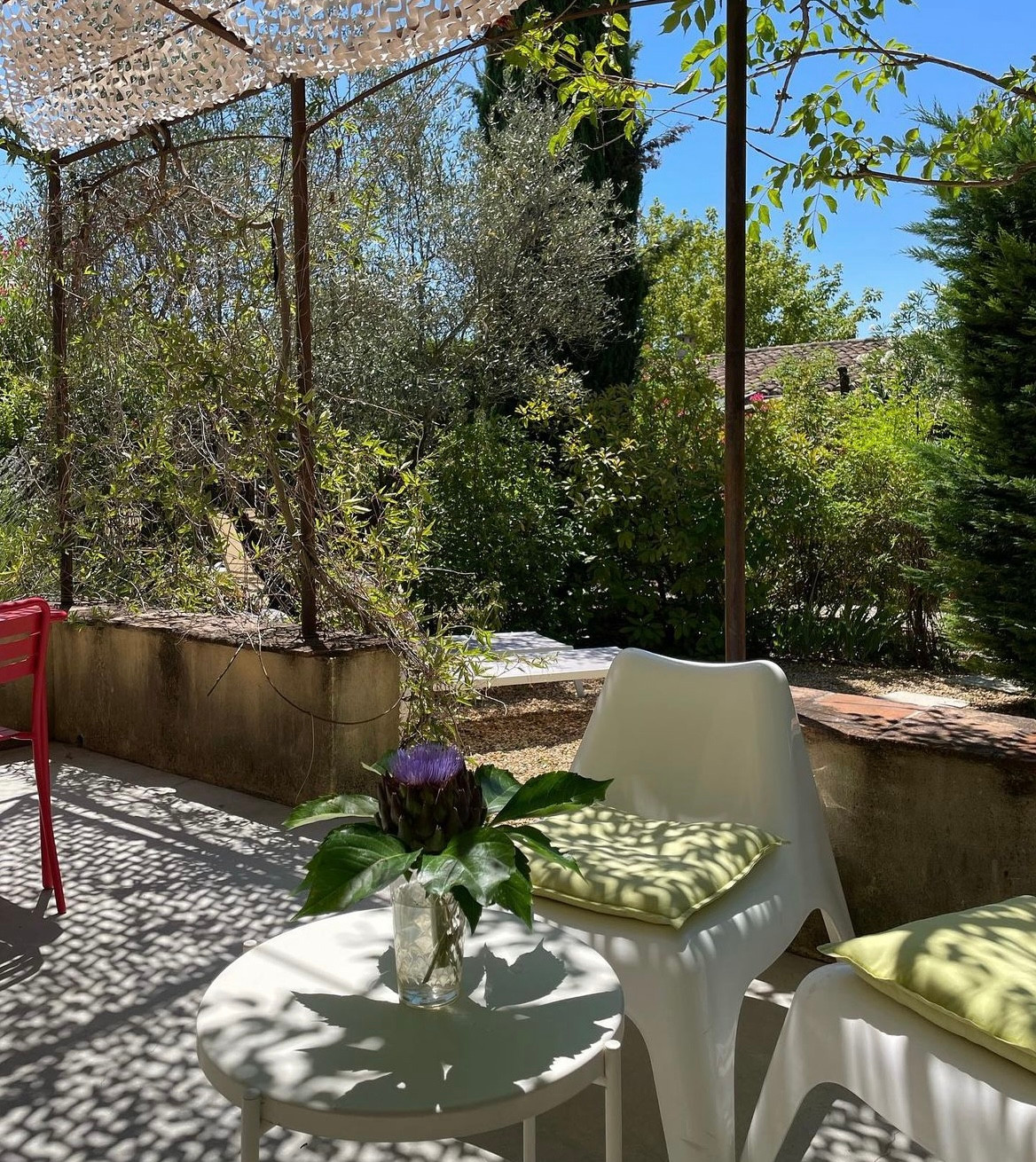 Vaucluse Sportif