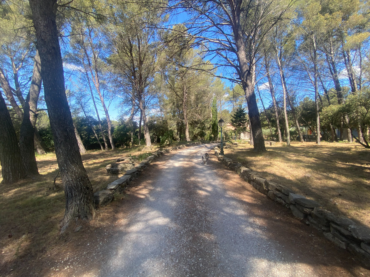 GreenGo location vacances écoresponsables