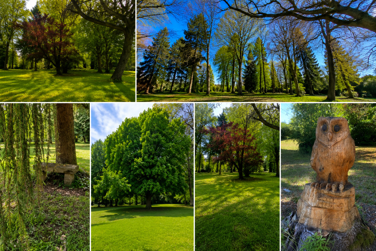 GreenGo Domaine le Fournay
