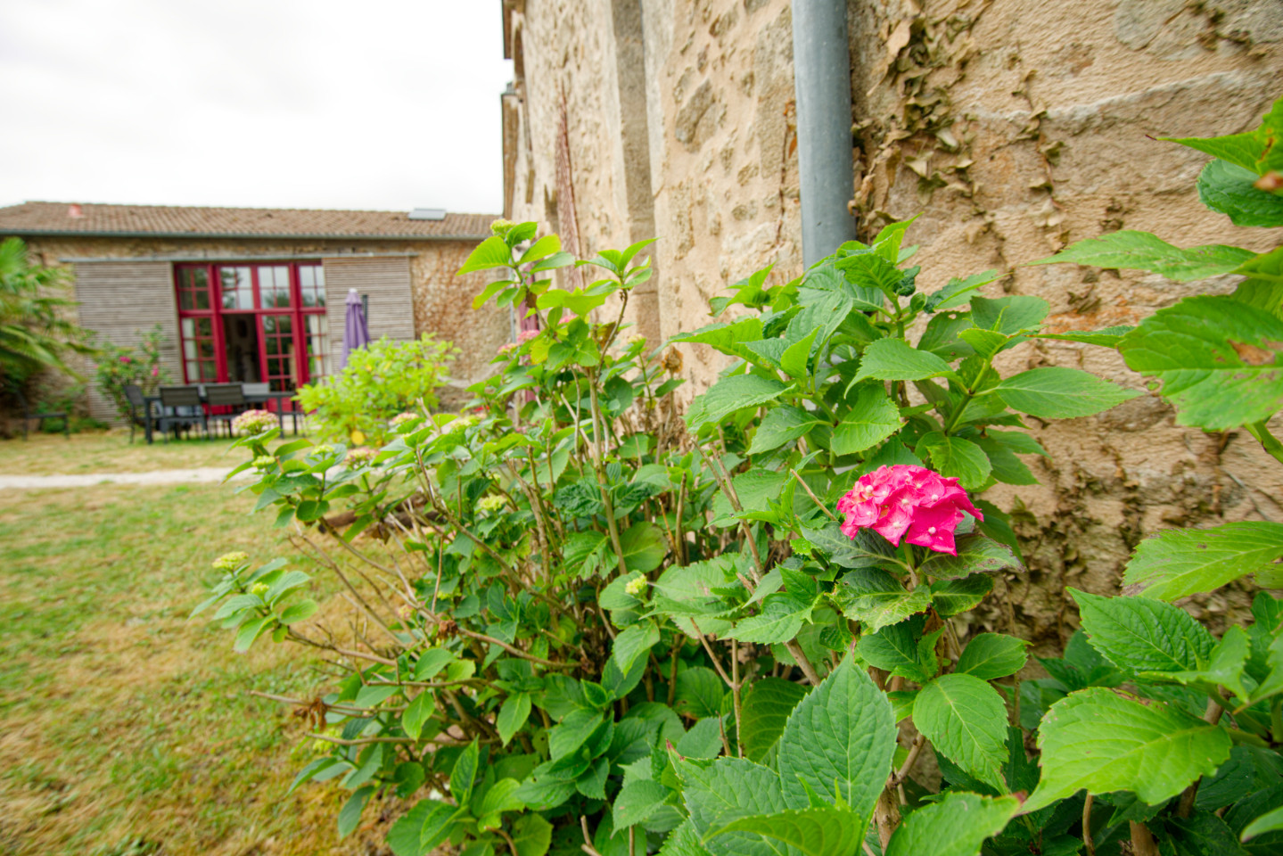 GreenGo location vacances écoresponsables