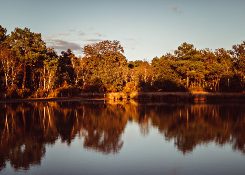GreenGo location vacances écoresponsables