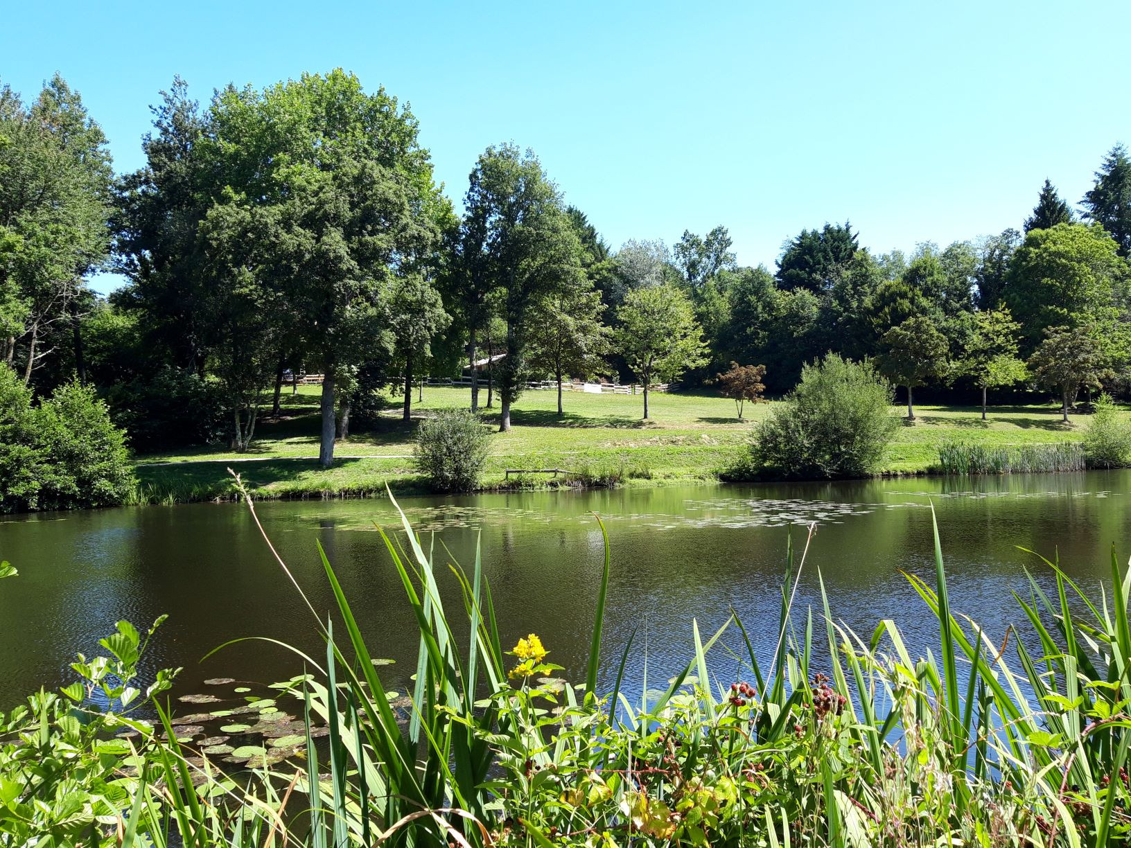 GreenGo location vacances écoresponsables