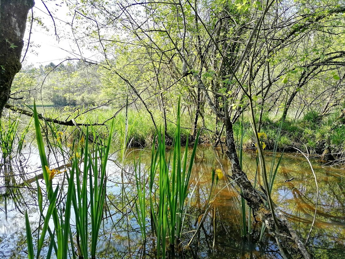 GreenGo Logement insolite Nouvelle-Aquitaine À la campagne