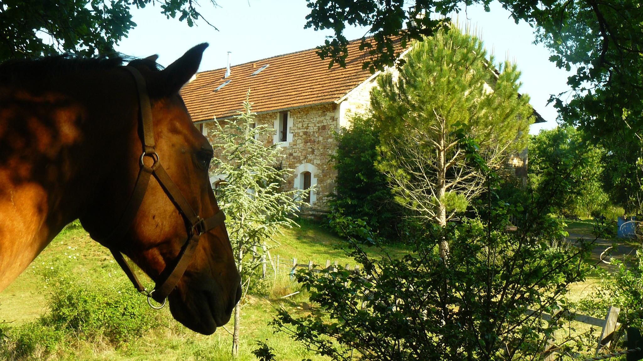 Les Moynes