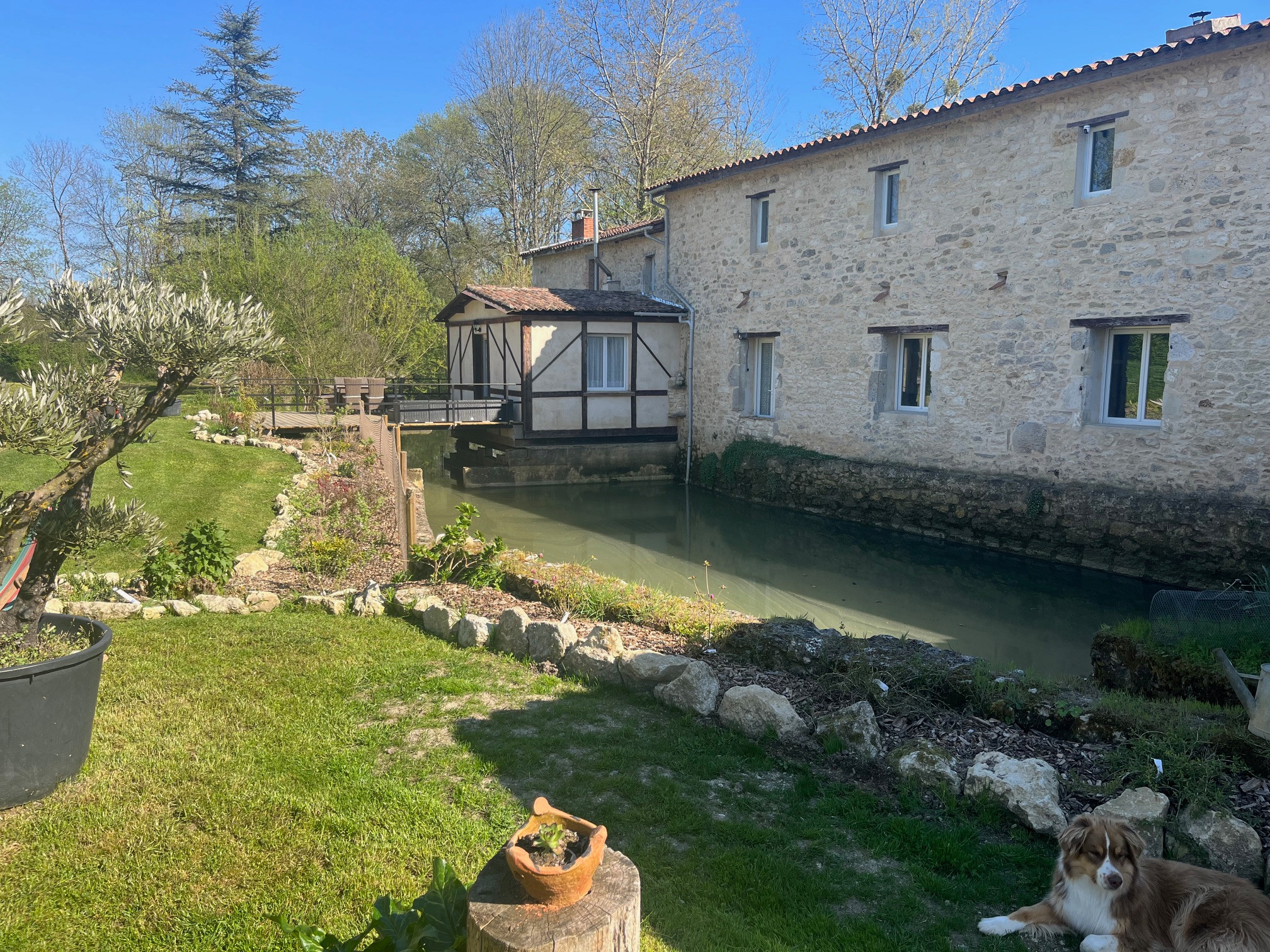 Ô Vieux Moulin