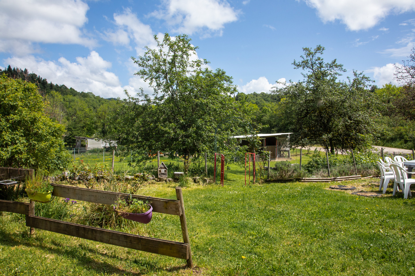 Hôte GreenGo: Jurassic Farm