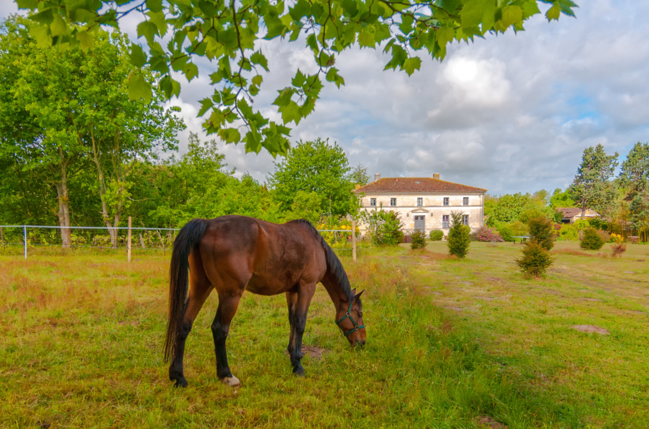 Hôte GreenGo: Domaine Terrocéane
