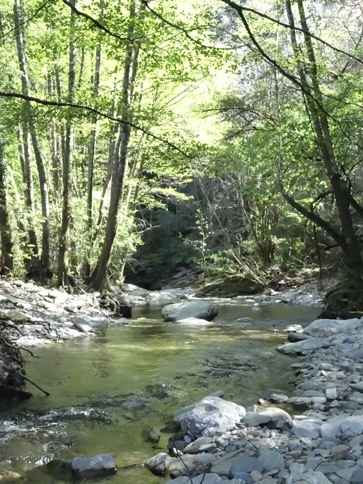 GreenGo location vacances écoresponsables