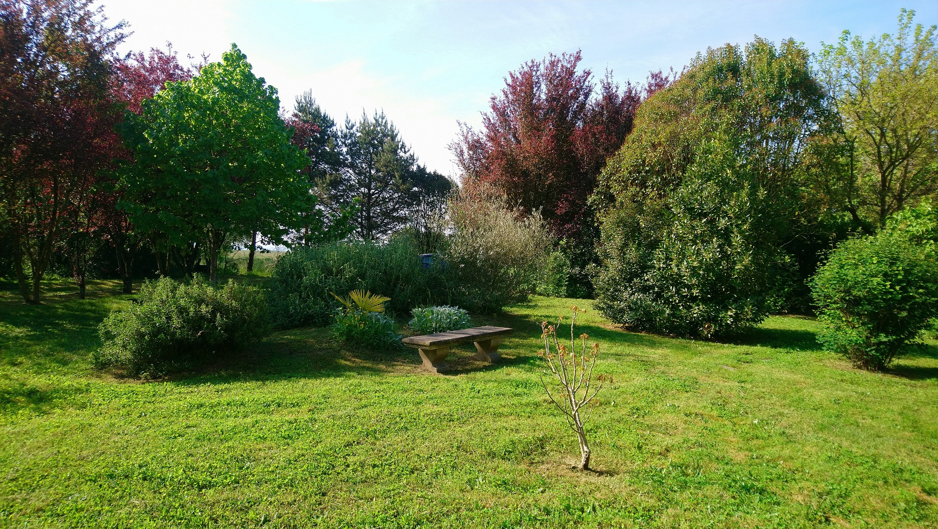 Tarn À la campagne