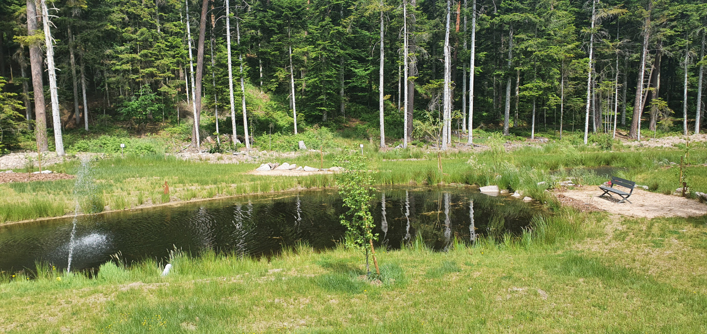 GreenGo Gîtes les Saules et les Charmes