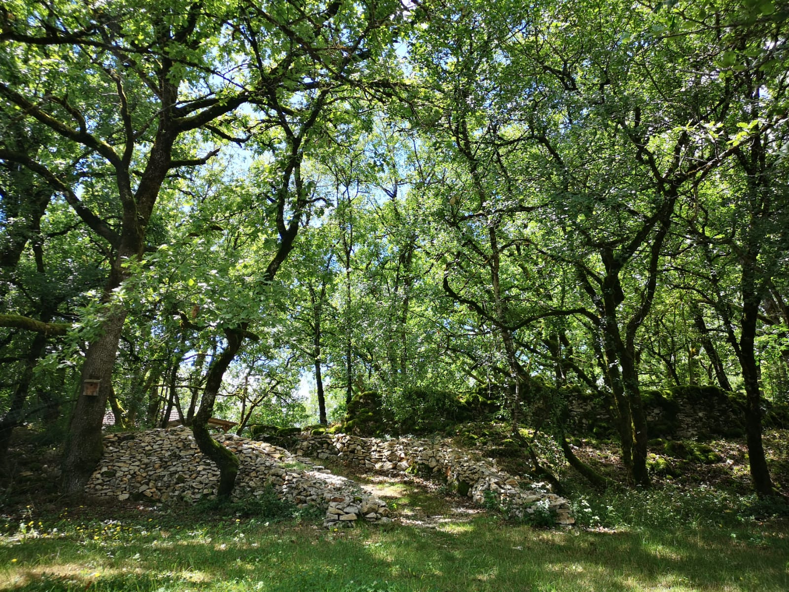GreenGo Mas du Cairn