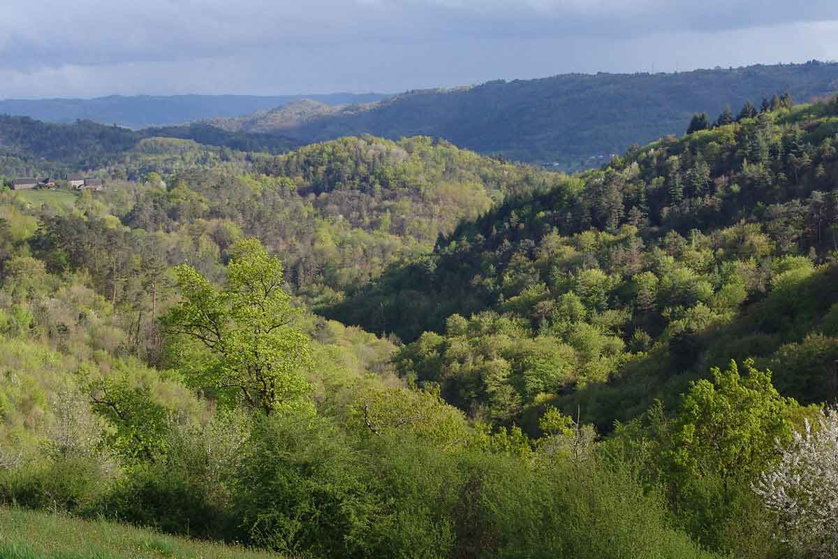 GreenGo L'Espace Champêtre