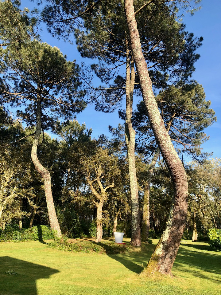 GreenGo Landaise au calme