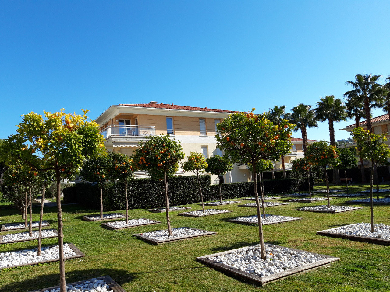 GreenGo Les jardins d'Antibes