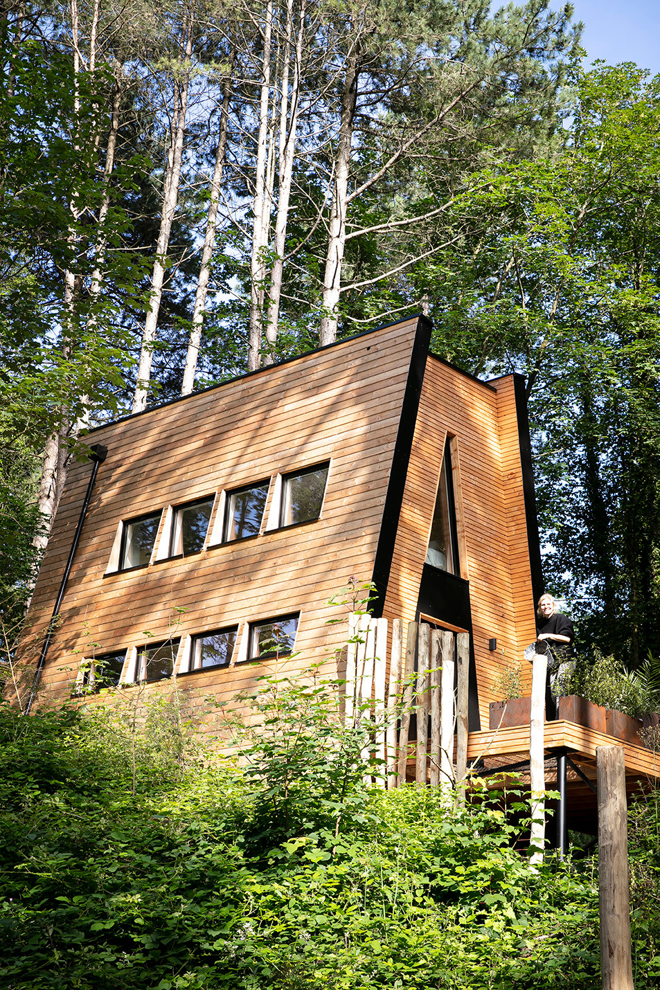 GreenGo Bain de Forêt