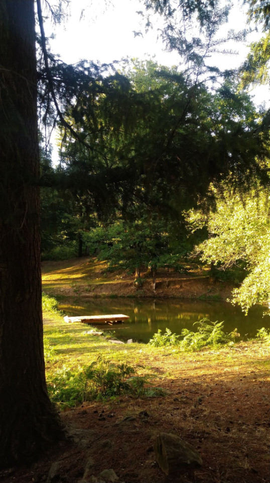 GreenGo Les Cabanes des Landes