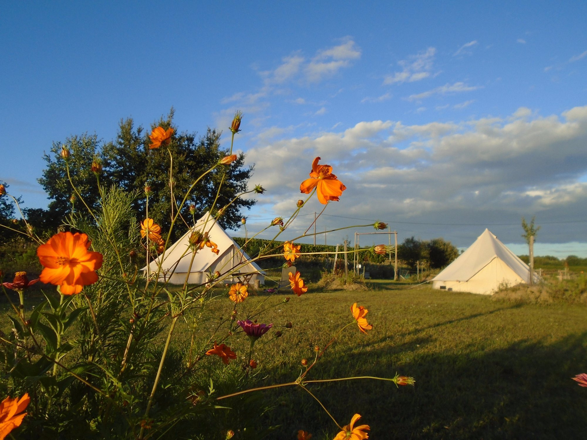 GreenGo Gîte Nouvelle-Aquitaine Évasion