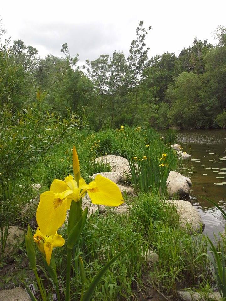 GreenGo Gîte de l'Île aux Iris