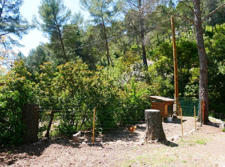 GreenGo location vacances écoresponsables