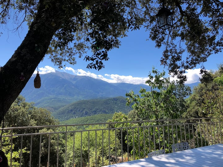 Seuls au Monde - un mas juste pour vous face au Canigou, au coeur de 3 ha de nature