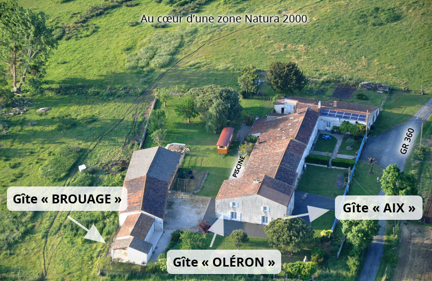 GreenGo location vacances écoresponsables